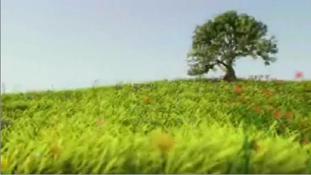 East of Eden (伊甸å›ä¹‹ä¸œ) Start 1